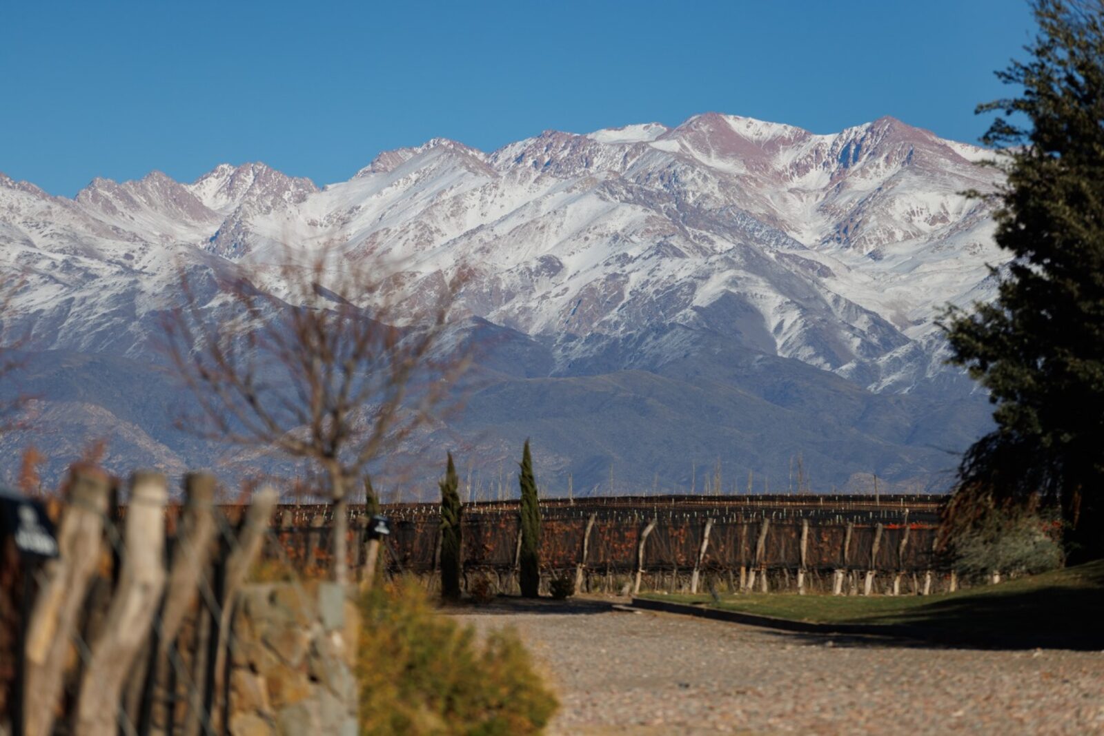 Cordilheira dos Andes nevada vista desde os vinhedos em Gualtallary, Valle de Uco